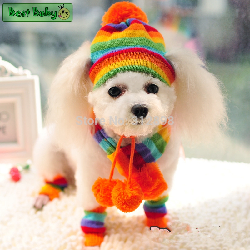 Baby Products Best - ฤดูหนาวสัตว์เลี้ยงลูกสุนัขอุปกรณ์เสริมสําหรับสุนัขถักหมวกลายผ้าพันคอถุงเท้าเล็กๆสัตว์ใหญ่ Yorkshire Chihuahua Cat ผลิตภัณฑ์